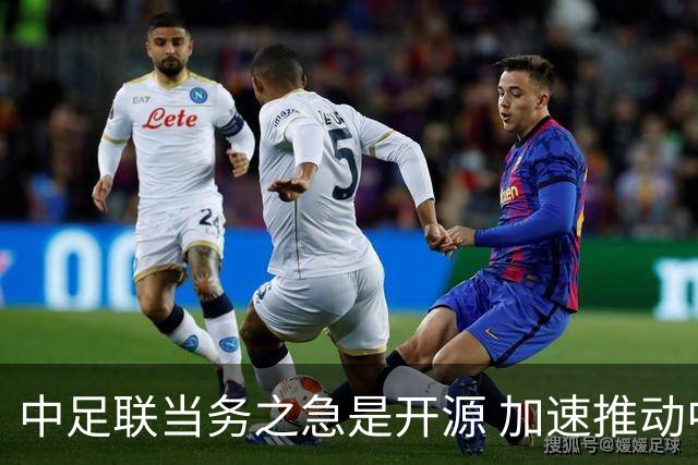 中足联当务之急是开源 加速推动中国足球职业化